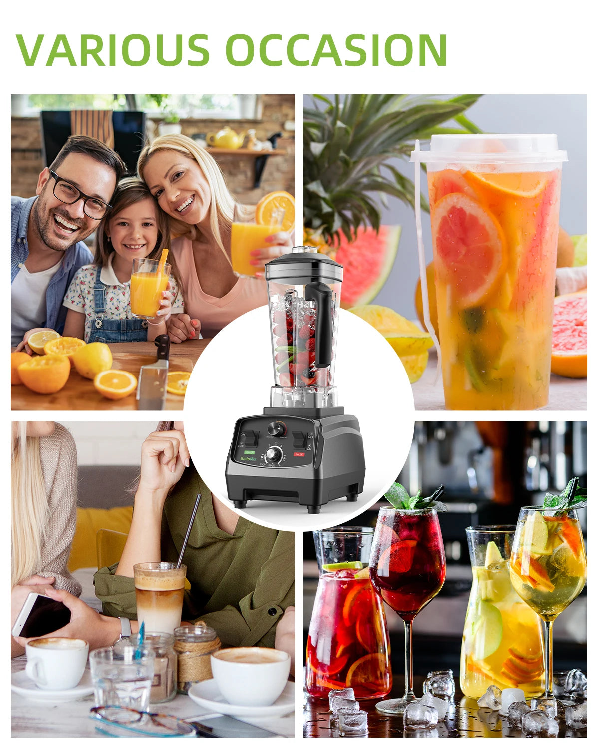 Biolomix Heavy Duty Timer Blender and Food Processor