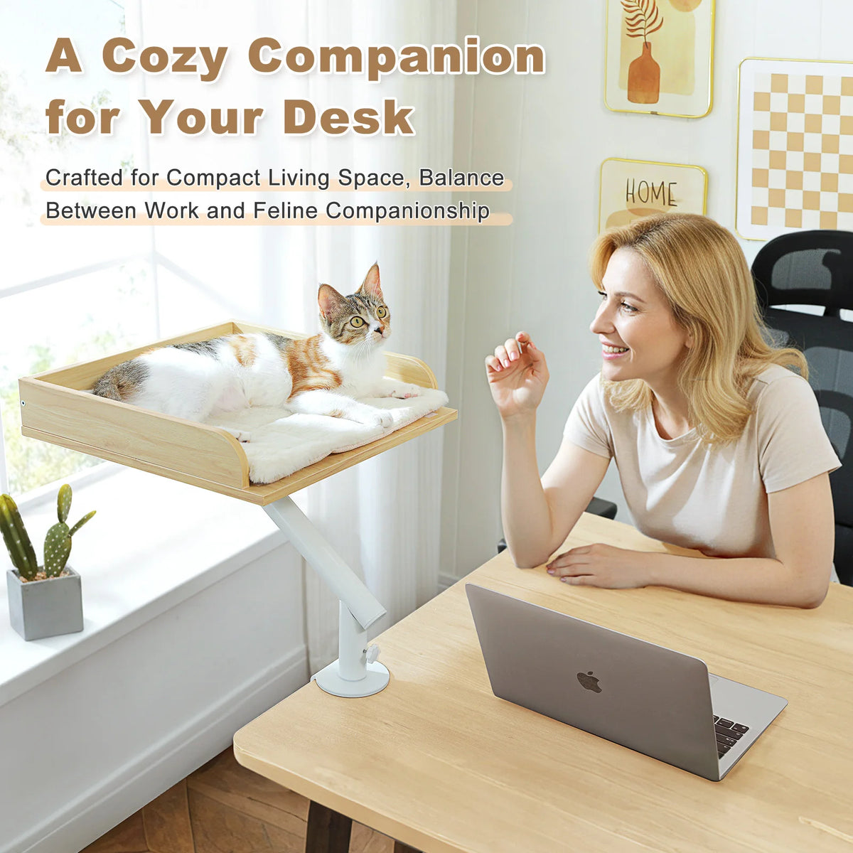 PAWZ Road Rotatable Cat Desk Bed With Adjustable Basket